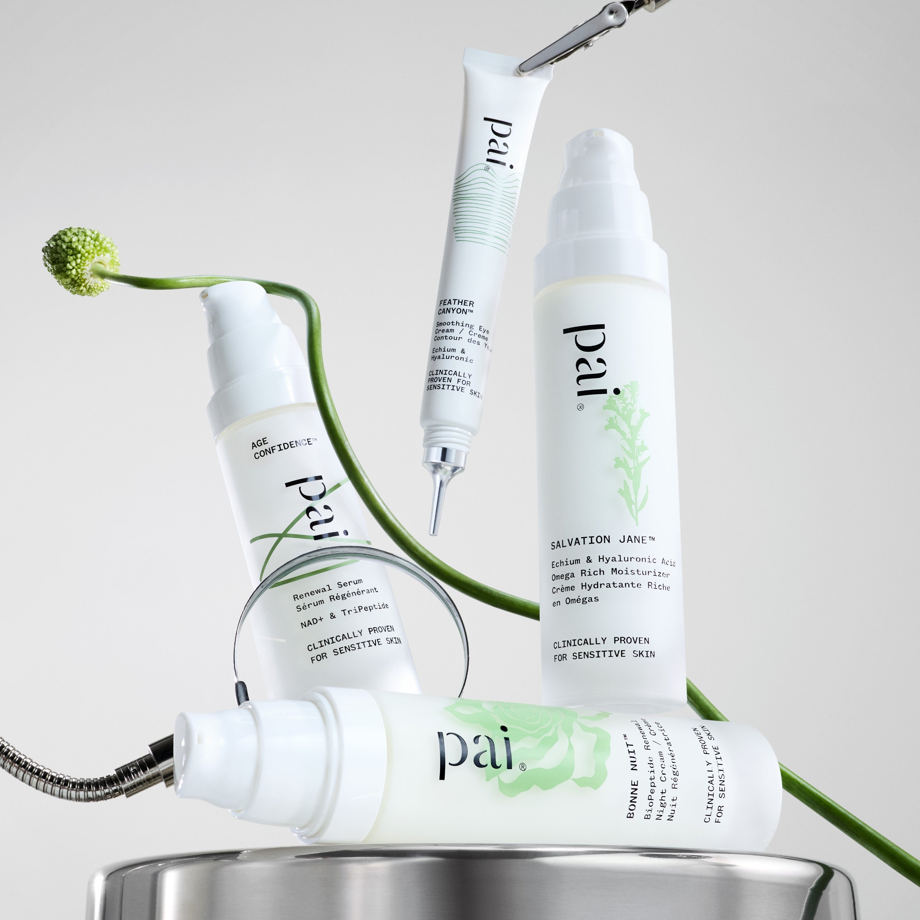 NAD+ Renewal Serum | Anti-Aging Peptide Serum | Pai – Pai Skincare UK