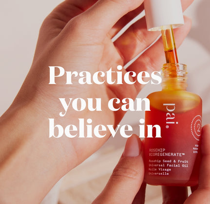 New to Pai