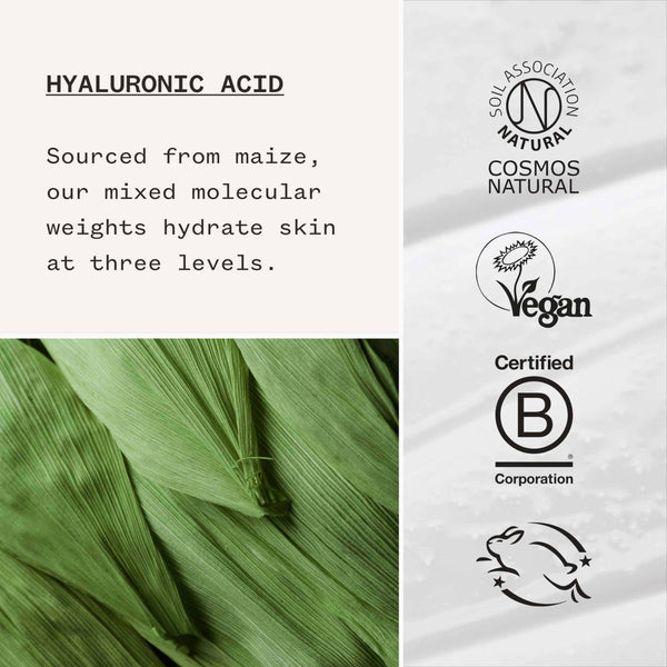 Hyaluronic Acid Hydrating Booster Ingredient Info